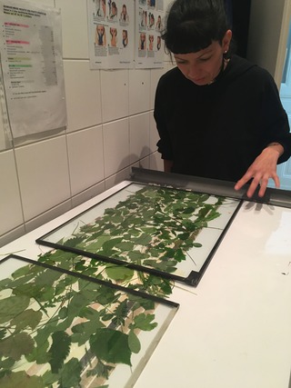 @LaborBerlin, spring 2023